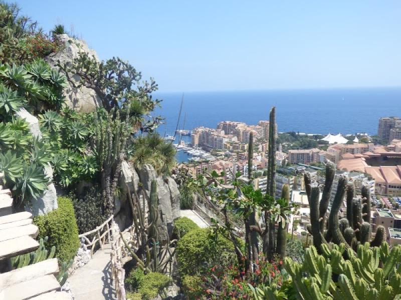 Exotic Garden of Monaco
