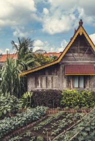 The Chillhouse - Bali Surf and Yoga Retreats