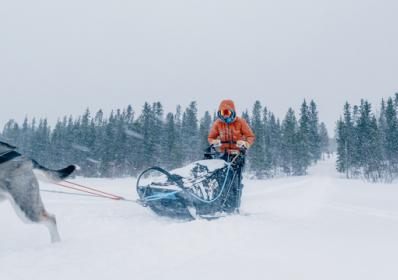 Fjällräven Polar 2023 – en 300 km arktisk expedition i norra Skandinavien