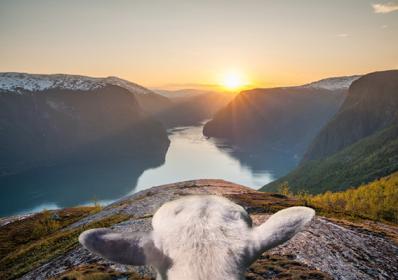Norge: The Whale – Norges nya mäktiga utsiktsplats