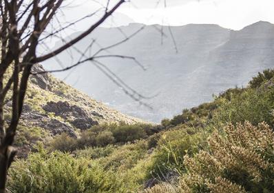 Gran Canaria, Spanien: Bergsvandring på Gran Canaria