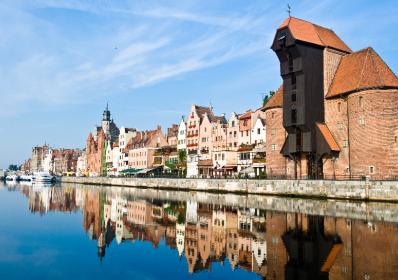 Polen: På svampjakt i den polska regionen Pommern