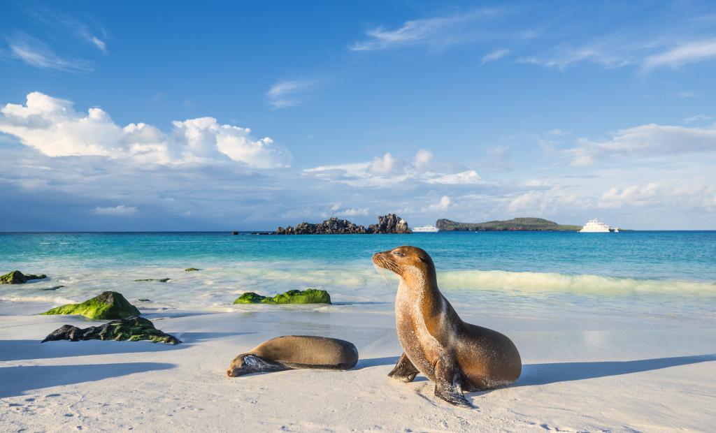 Ecuador: Orörda Galapagosöarna öppnar sin första resort