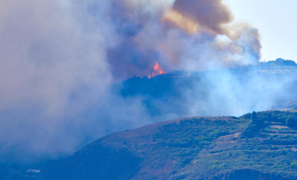 Kanarieöarna, Spanien: Branden på Gran Canaria sprids – turister varnas