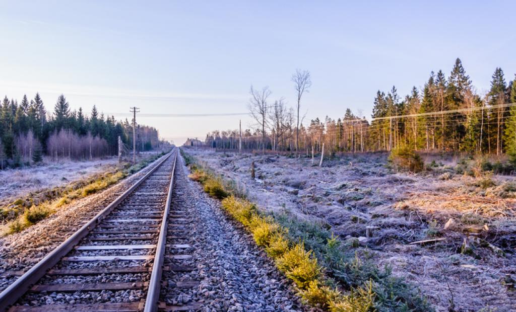 Sverige: Miljömedvetenheten sprider sig – fler affärsresenärer väljer tåget