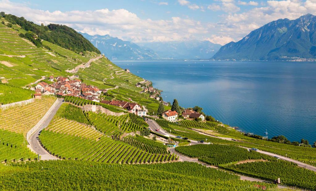 Schweiz: Storslagen vinfestival äger rum i sommar – för första gången på 20 år